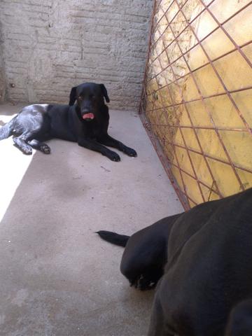 Vendo e aceito proposta garanta o seu e ajende - Foto 3