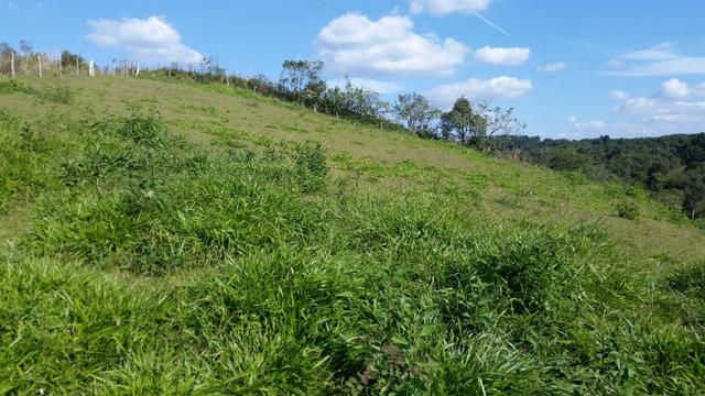Linda Chácara Pague e Pesque, Bairro do Nogueiras - Areia Branca - Foto 7