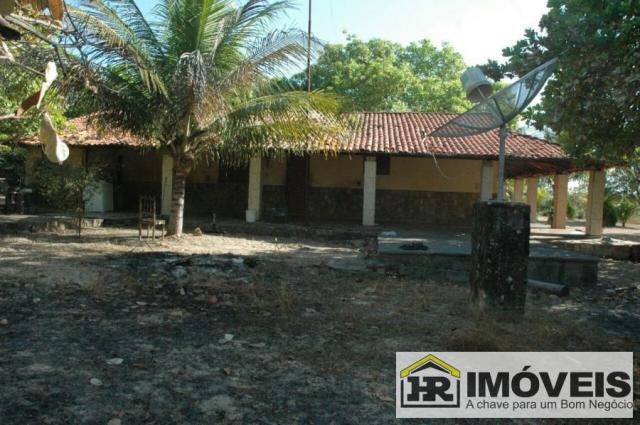 Sítio / Chácara para Venda em Barras, 3 dormitórios, 1 suíte, 2 banheiros, 3 vagas - Foto 7