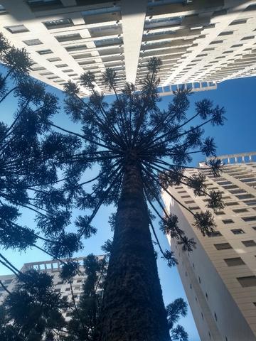 Alugo quarto em condominio clube top