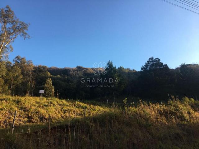 LINDA ÁREA DE TERRA NA LINHA ÁVILA - Foto 5