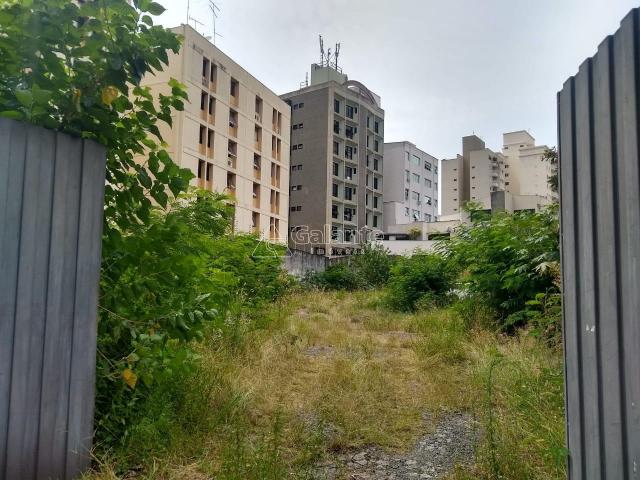 Terreno para alugar com 0 dormitórios em Cambuí, Campinas cod:TE049120 - Foto 5