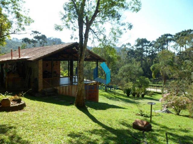 Chácara à venda, 2240 m² por R$ 345.000,00 - Jardim Chácaras Oriente - São Paulo/SP - Foto 9