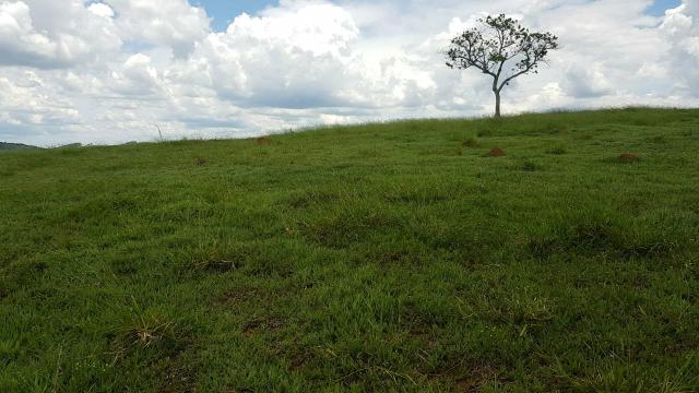 01U. venha escolher 1000mts² terrenos em jacarei - Foto 4