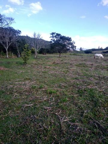 Sítio com 5 hectares, em São Sebastião do Rio Verde! - Foto 10