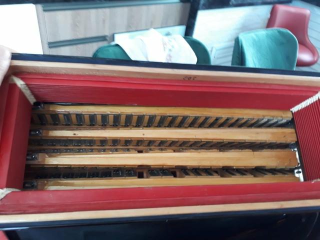 Acordeon Melodiosa - Foto 6