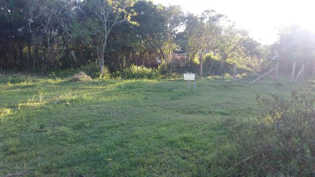 Terreno praia do lami - Foto 3