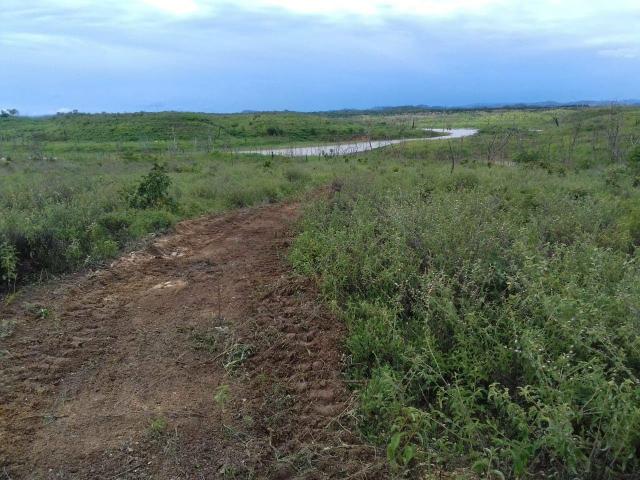Sítio Serra da Mesa Goiás - Foto 5