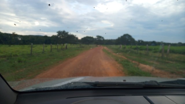 Fazenda 378 Alqueires Tocantins  - Foto 5