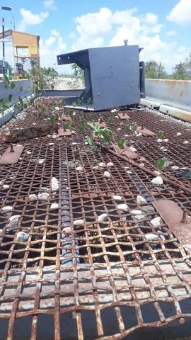 peneira vibratória tellsmith 4,00x1,55 mt - Foto 2