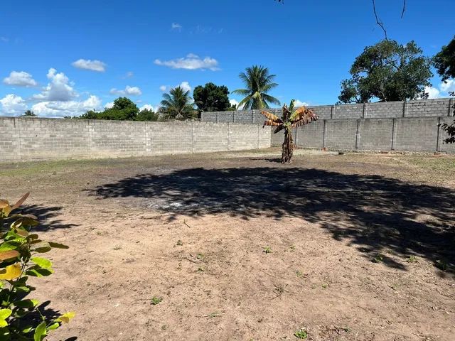 Excelente  terreno  para aluguel  Bairro  Sim - Foto 7