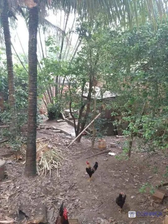Terreno à venda, 210 m² por R$ 130.000,00 - Campo Grande - Rio de Janeiro/RJ - Foto 4