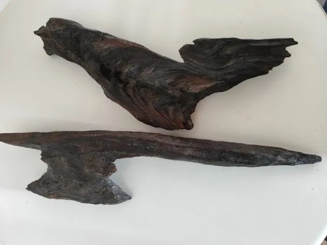 Escultura rara natural em madeira antiga submersa em leito de rio em formato de ferramenta