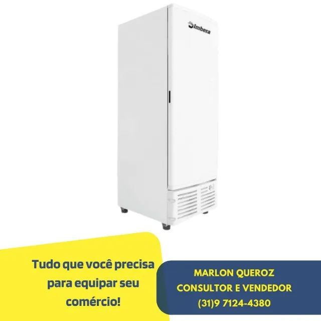 Freezer Congelador Imbera Porta Cega