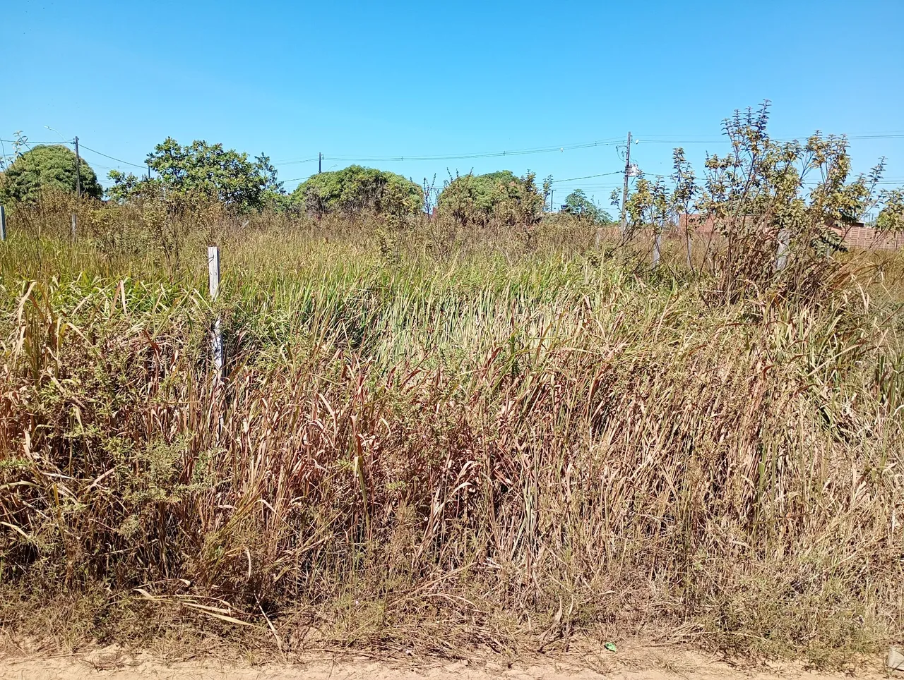 Vendo terreno no lagoa azul