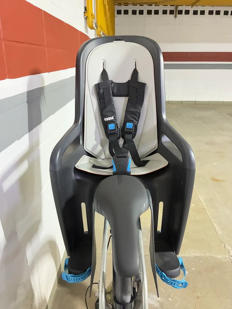 Cadeirinha Traseira Thule Ridealong Bike