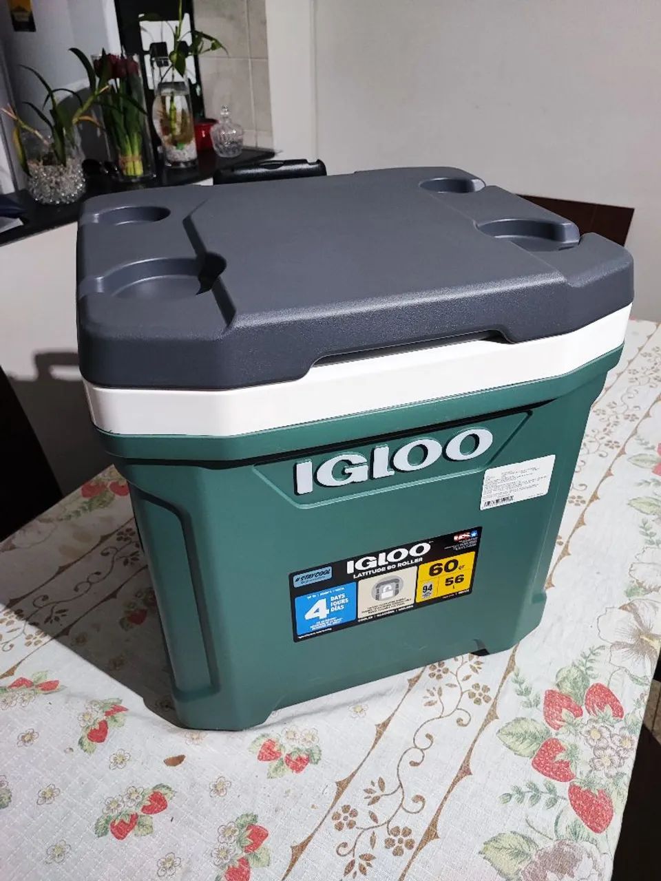  Cooler Igloo Latitude 60 Roller 4 dias 