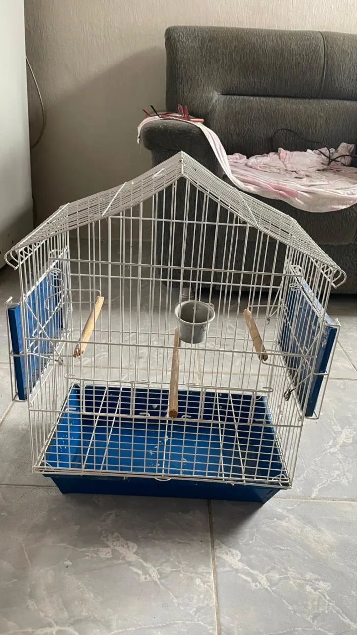 Acessório para pássaros  - Foto 2