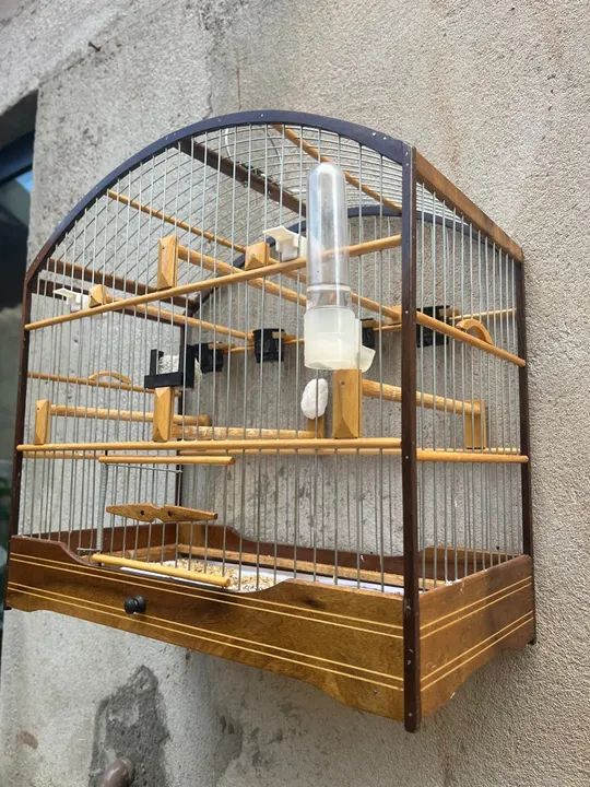 GAIOLA LUXO PARA COLEIRO - Foto 2