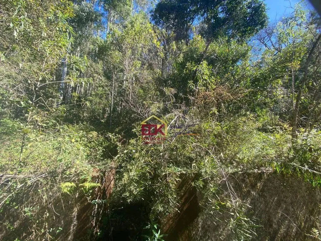 Fazenda com 4 dormitórios à venda, 460800 m² por R$ 3.500.000 - Centro - Joanópolis/SP