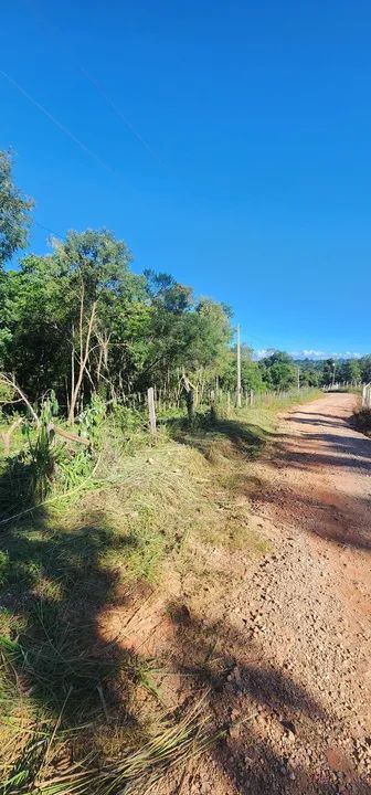 Terreno com área verde em região tranquila
