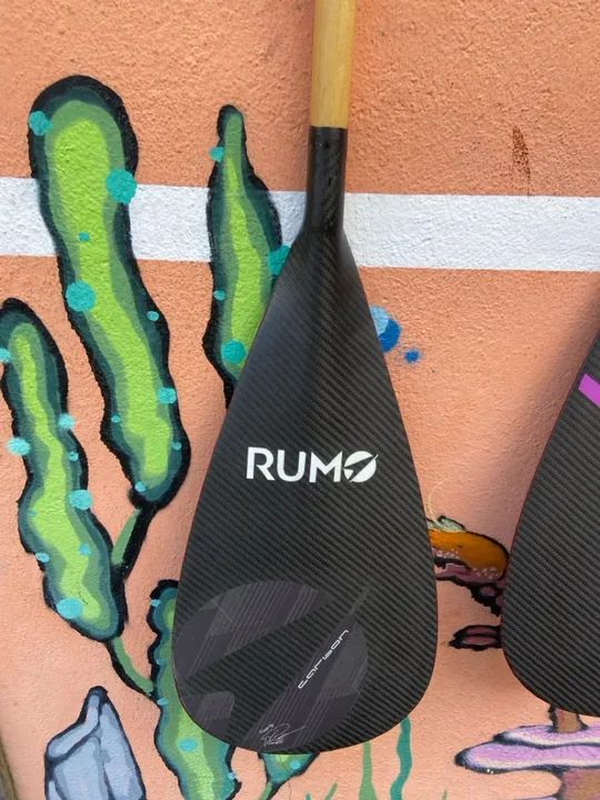 REMOS RUMO ZERADOS, DE CARBONO  - Foto 3