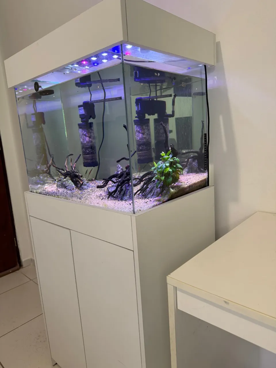 Aquário Completo com Móvel e Iluminação LED