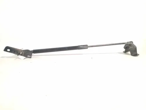 Mola a Gás Direito Porta-Malas BMW 118i 2012-2014