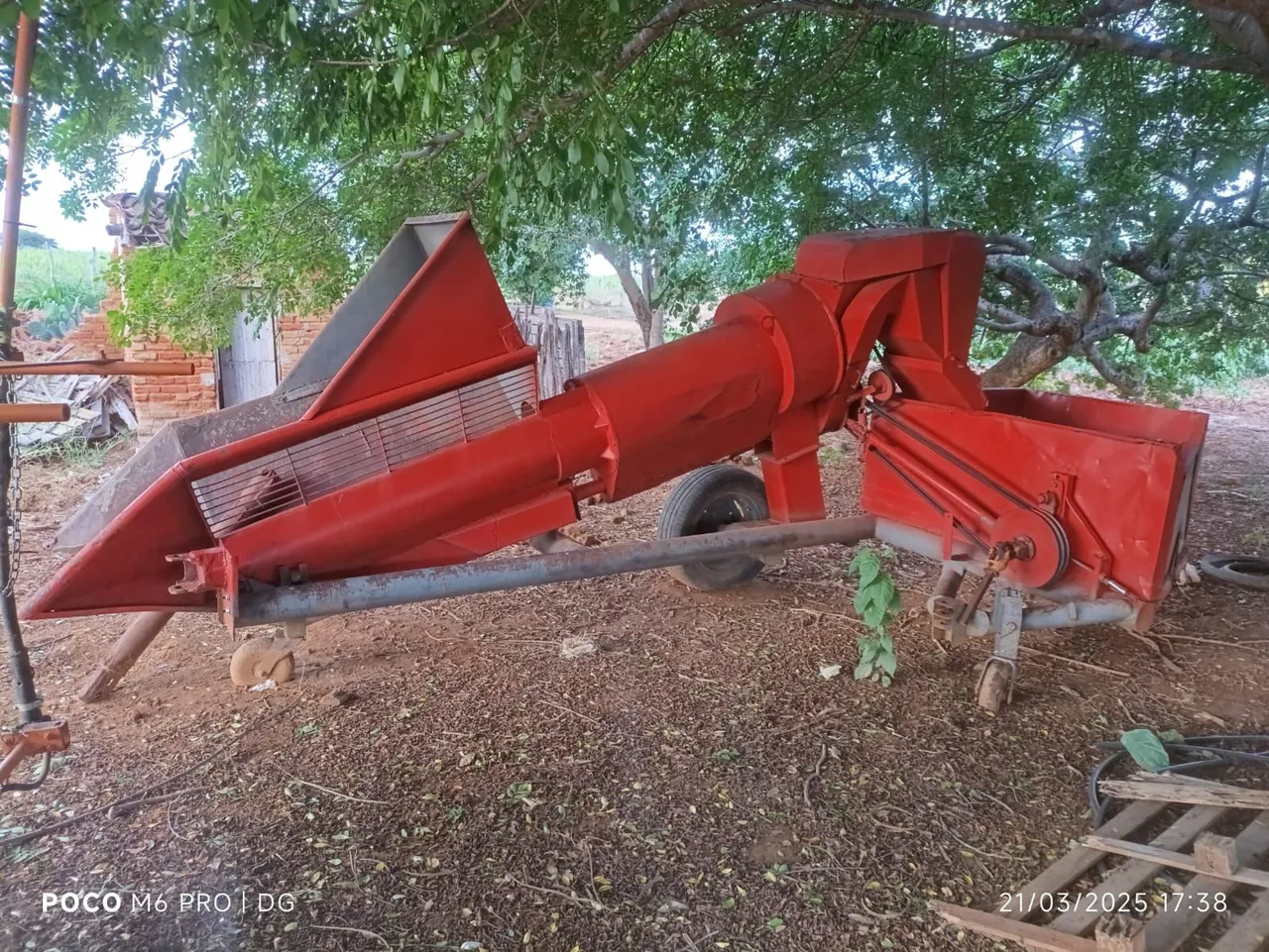 Máquina de limpeza e seleção de grãos