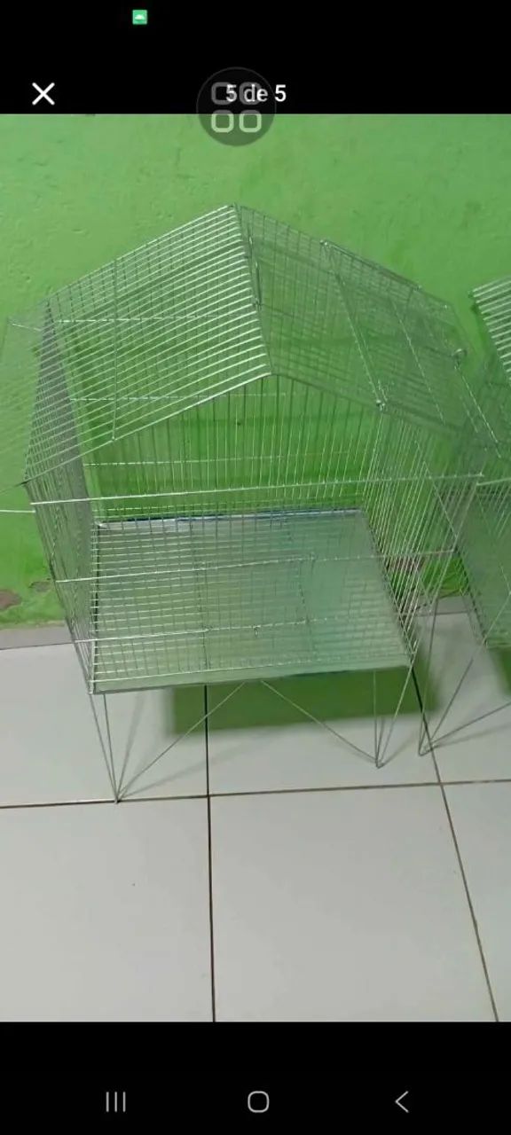 Viveiro novos64319325175554121