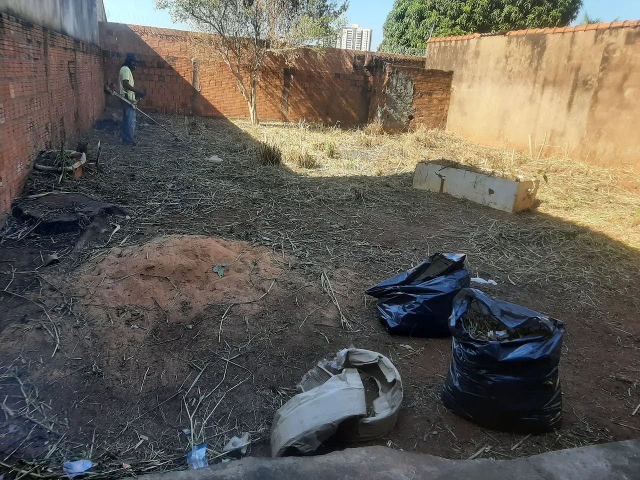 ? jardinagem nossa senhora Aparecida 