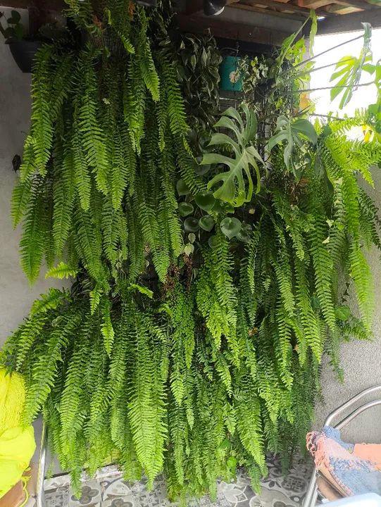 Grade de Metal para Jardim - Foto 5