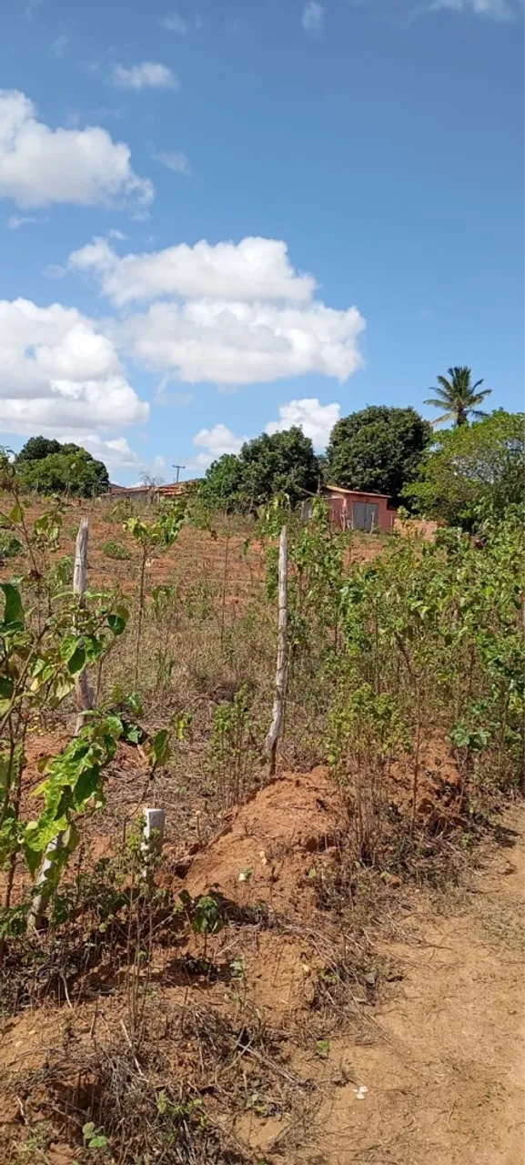 Vende-se lote vila aparecida
