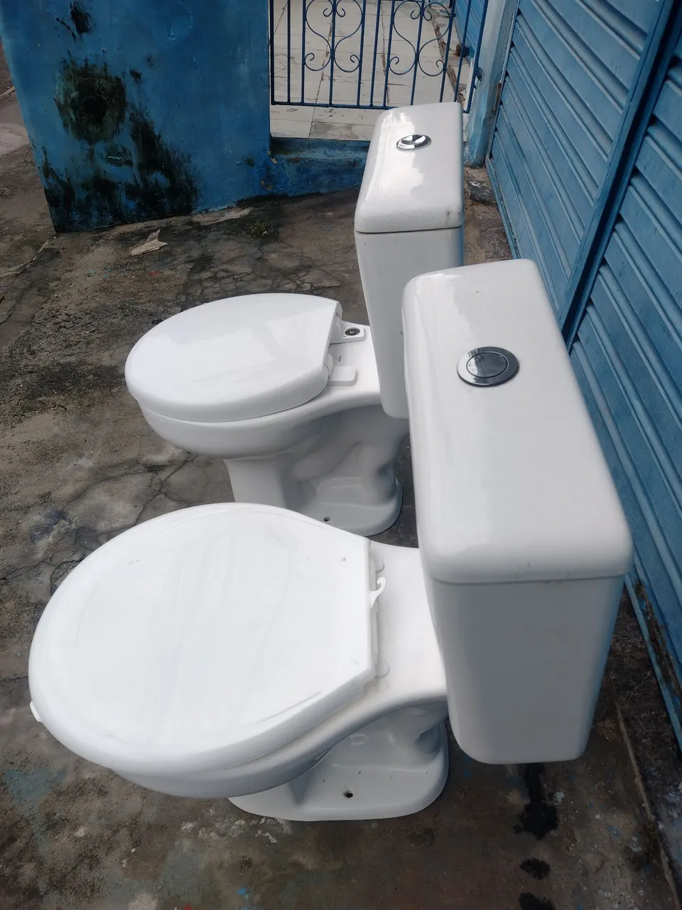 Vasos sanitários novos 120,00 cada um
