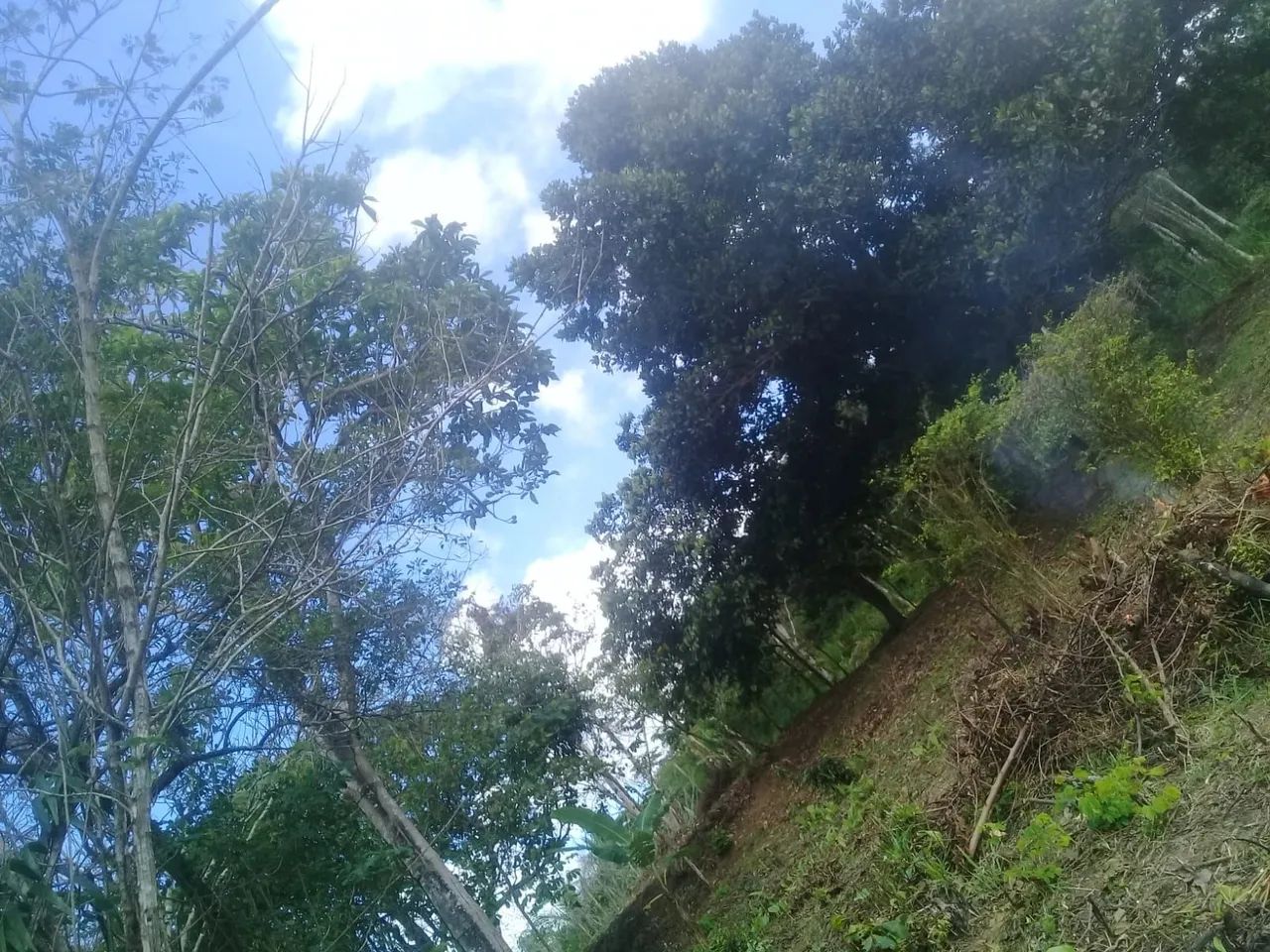 Vendo terreno  em taquipe  - Foto 2