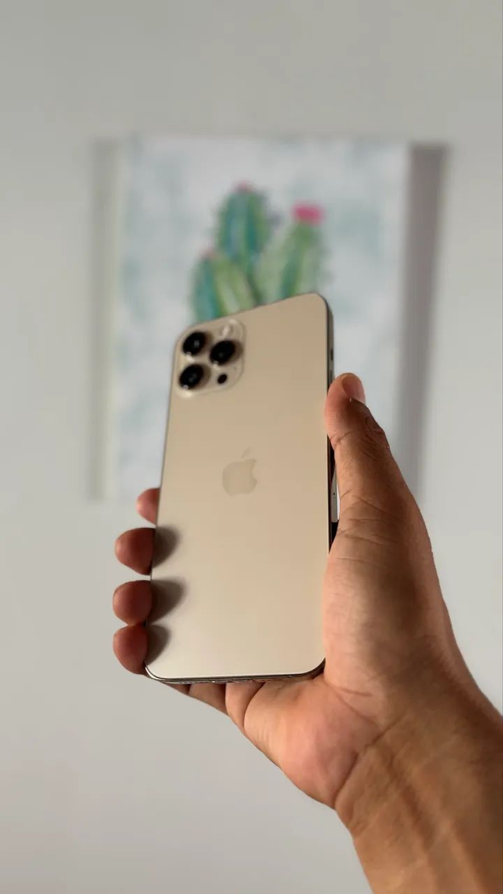 iPhone 12 PRO MAX 256GB GOLD - Celulares e Smartphones - Caranazal