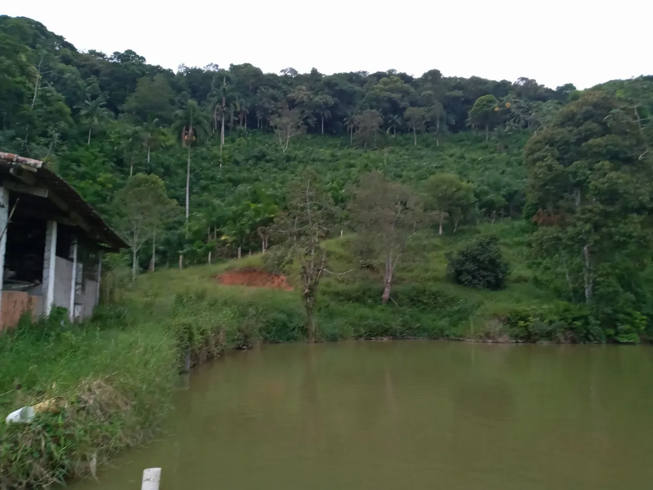 Sítio muito bom