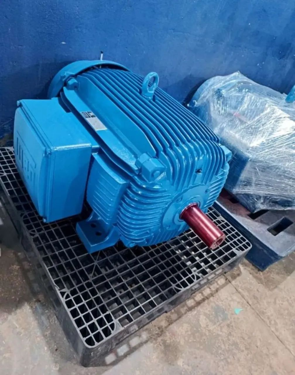 MOTOR ELETRICO 