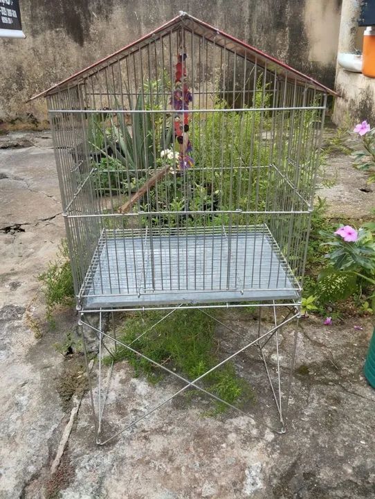 Vendo essa gaiola