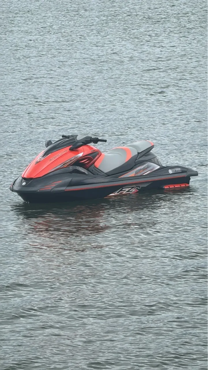 YAMAHA FZS 1.800cc