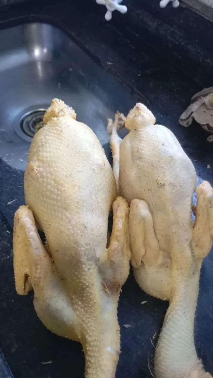 Frango caipira  - Foto 2