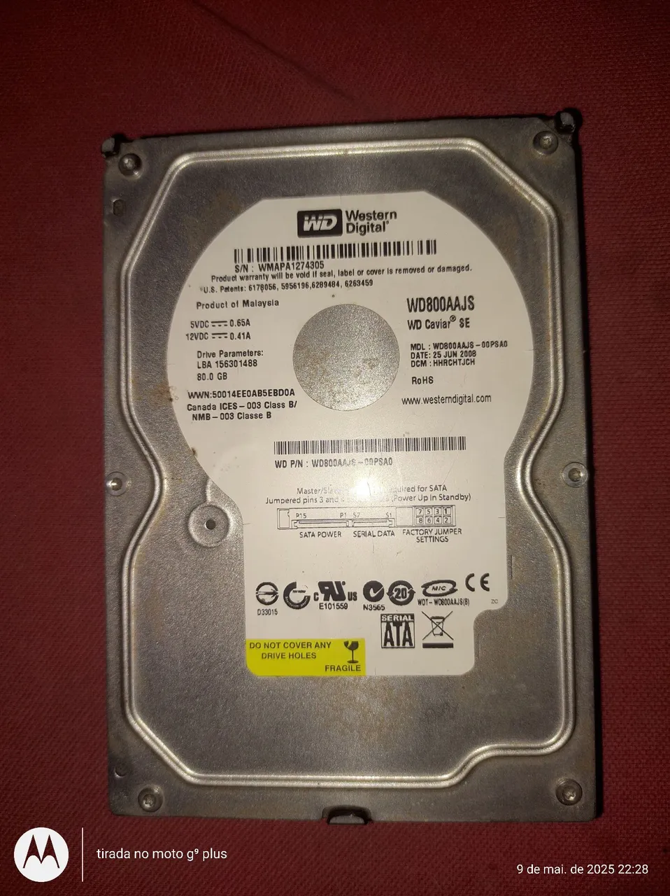 HD Western Digital 80GB