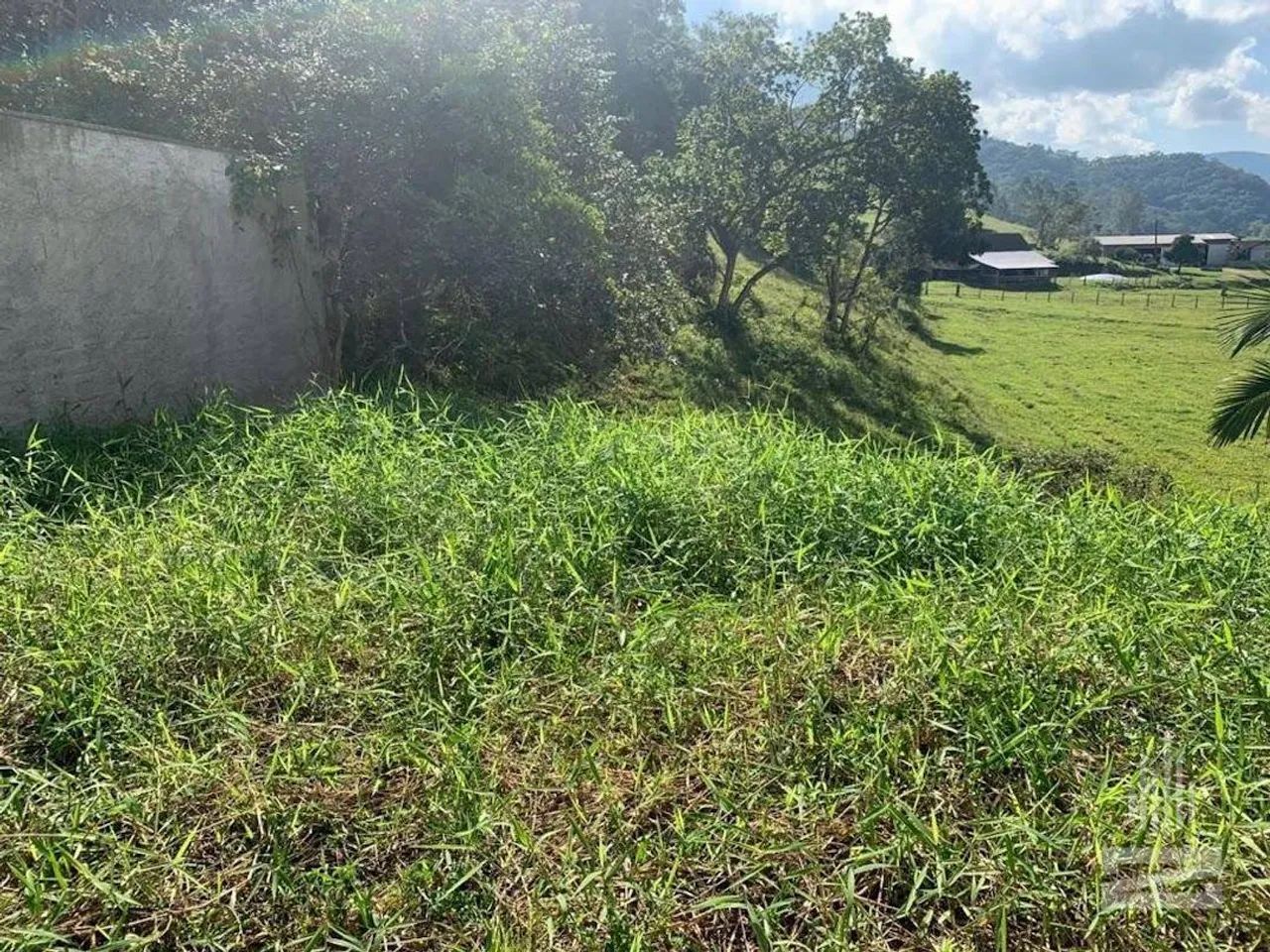 Terreno Residencial à venda, Belchior Central, Gaspar - TE0731. - Foto 5
