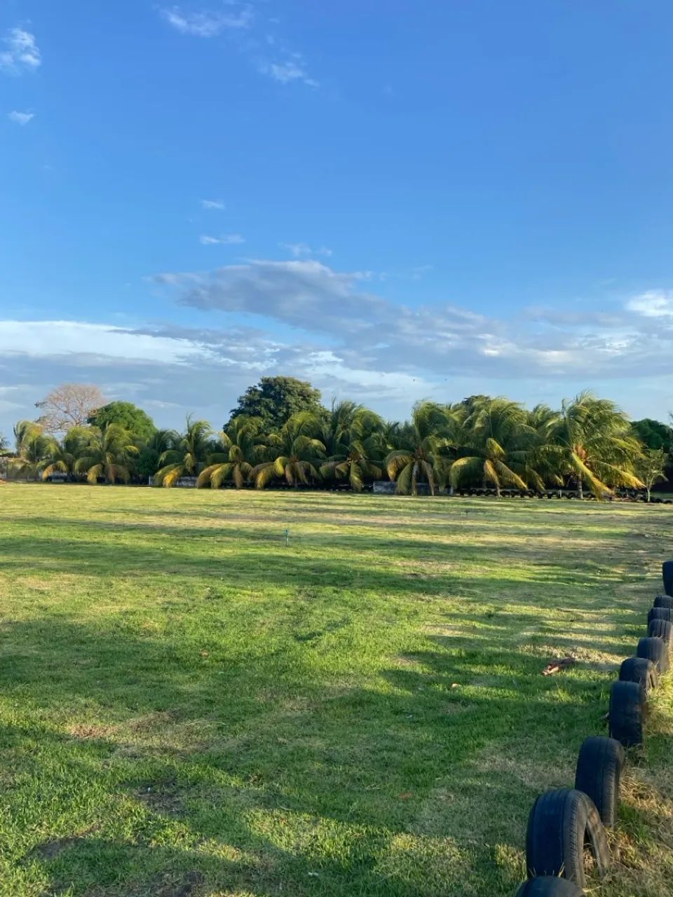 Grama Esmeralda e Serviços  - Foto 5