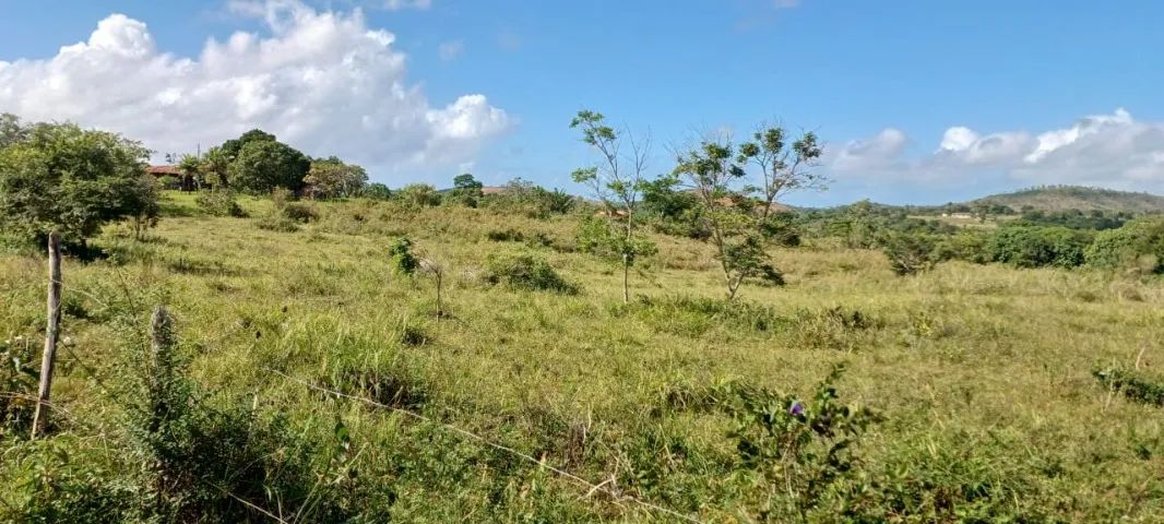 Foto - Aracaju - Jabotiana