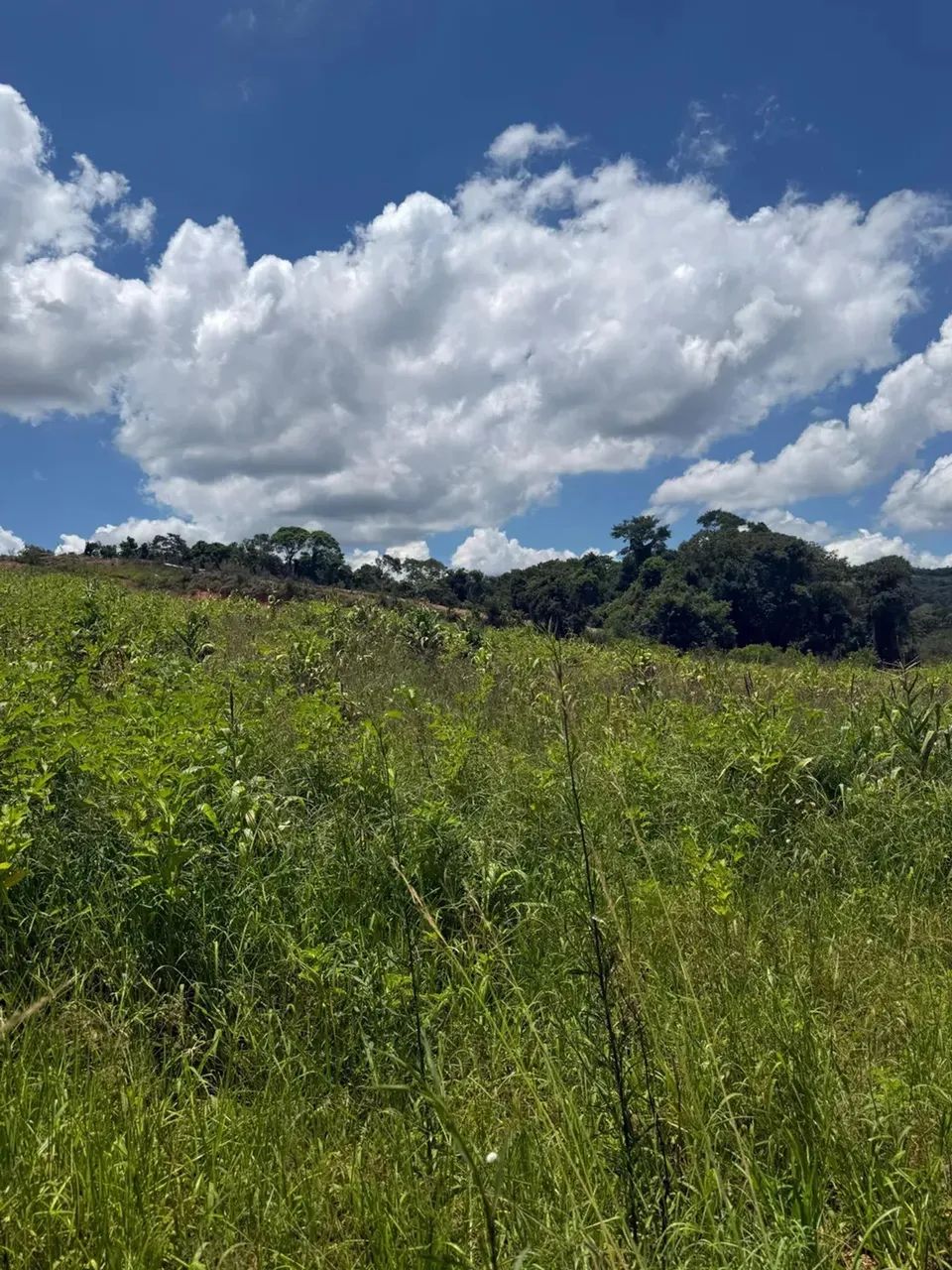 Terrenos para venda tem 1000 metros quadrados em Colégio - Ibiúna - SP - Foto 13