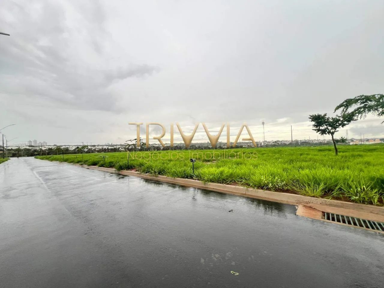 Terreno com Excelente Localização! - Foto 3