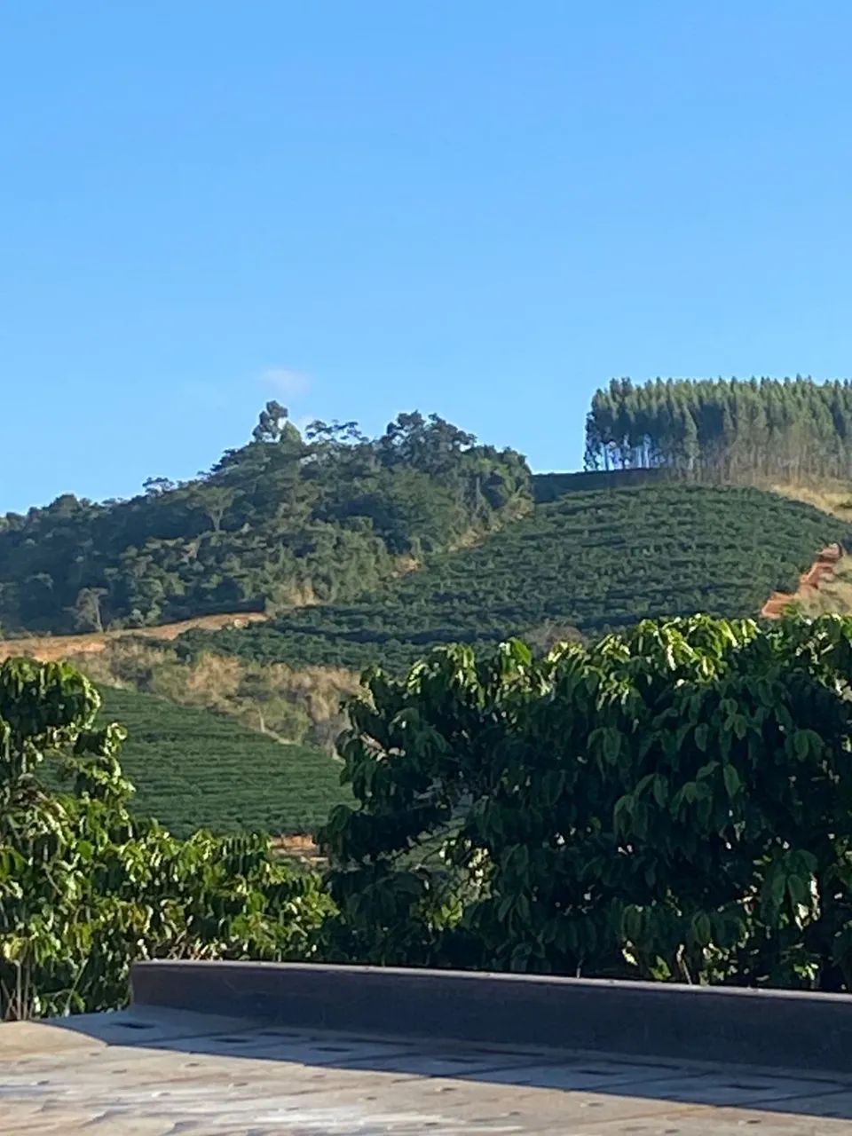 Terreno em Governador Lindenberg  - Foto 4