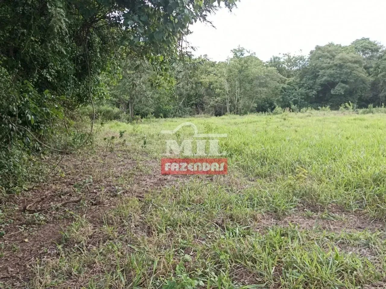 Chácara 22.500M² Itaberaí - Go - Foto 3