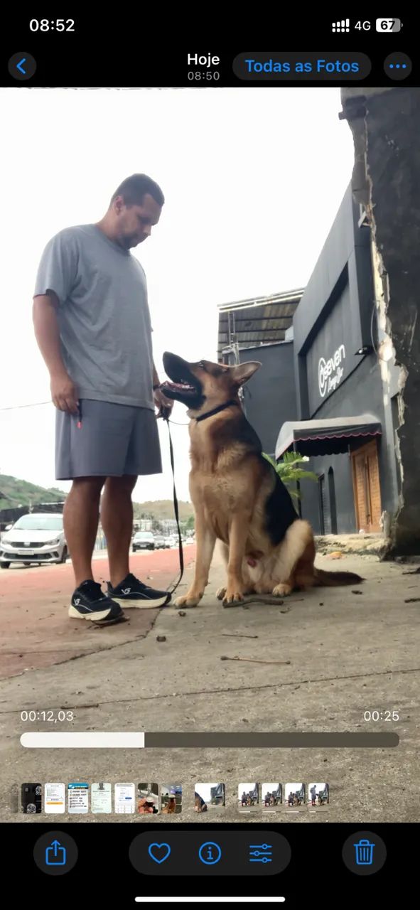 ADESTRAMENTO DE CÃES - Foto 3